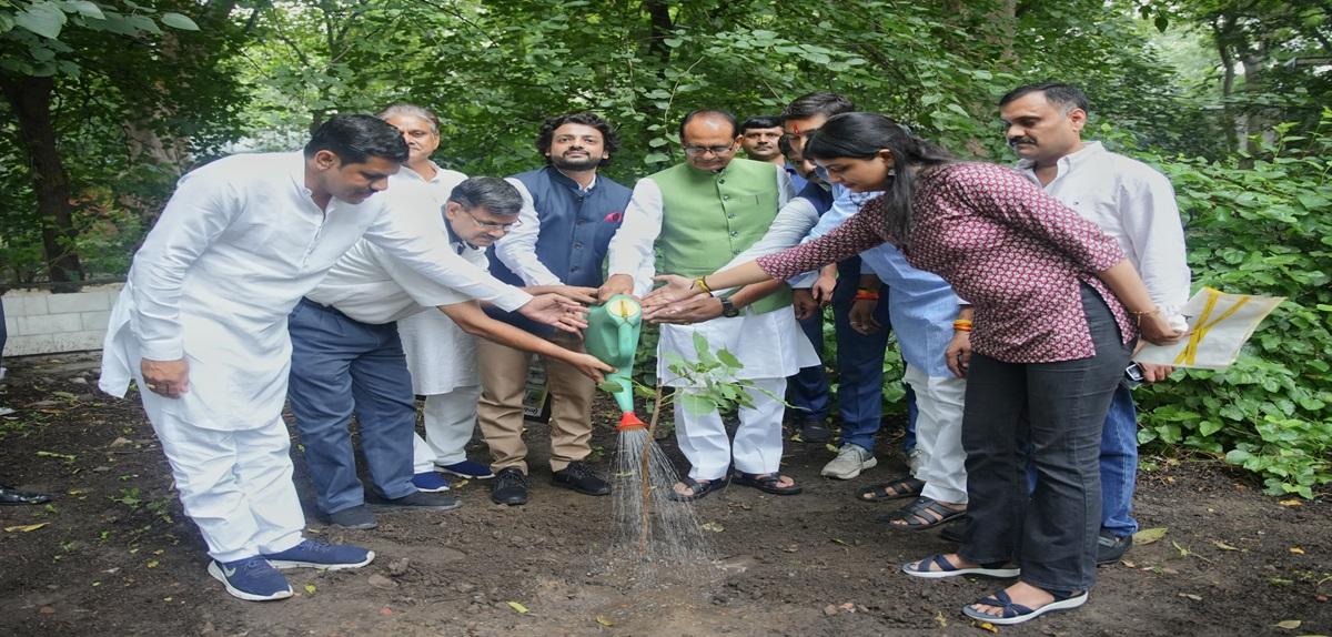 On the proposal of Agriculture Minister Shri Shivraj Singh Chauhan, members of Vriksha Mitra family will be present in the garden on the auspicious occasion of Hariyali Sale, more than 50 thousand trees will be planted.